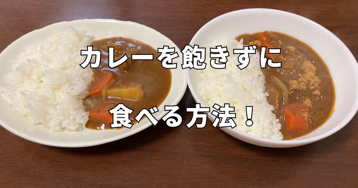 カレーを飽きずに食べる方法